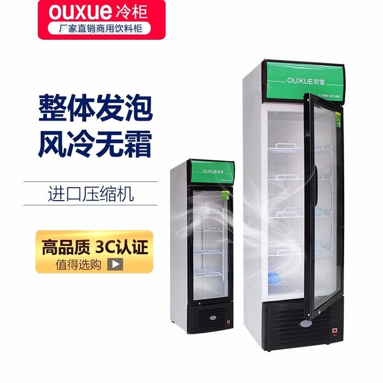 廠家直供商用冷柜單開門冷藏保鮮展示柜果蔬飲料冷藏冰柜批發(fā)