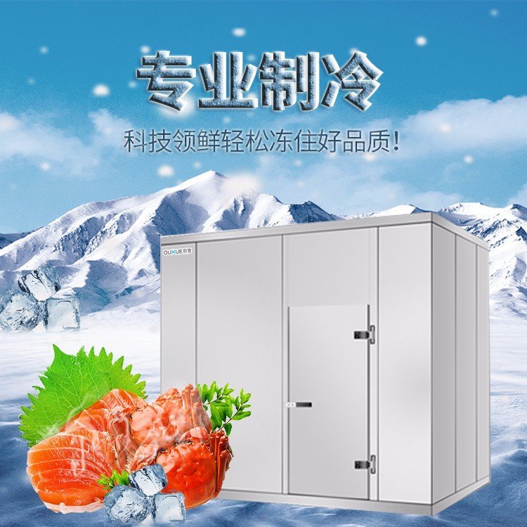 歐雪大小型冷藏庫設(shè)備蔬果冷藏冷凍庫定制免費設(shè)計全國聯(lián)保