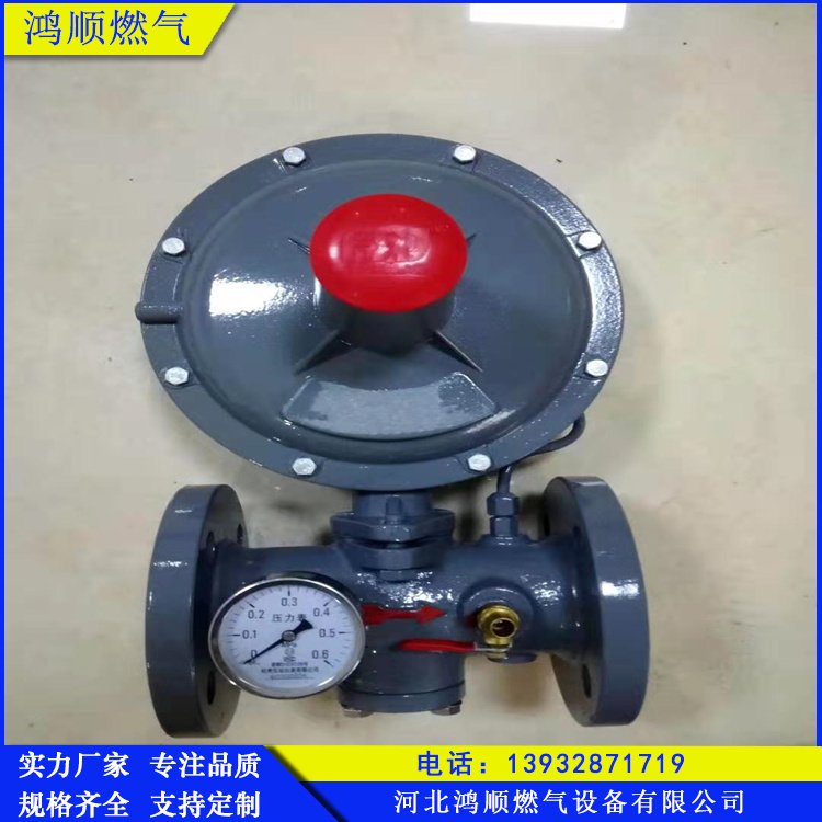 RTZ-25\/0.4L調(diào)壓器燃氣減壓閥關(guān)閉特性靈敏維護方便鴻順供應(yīng)