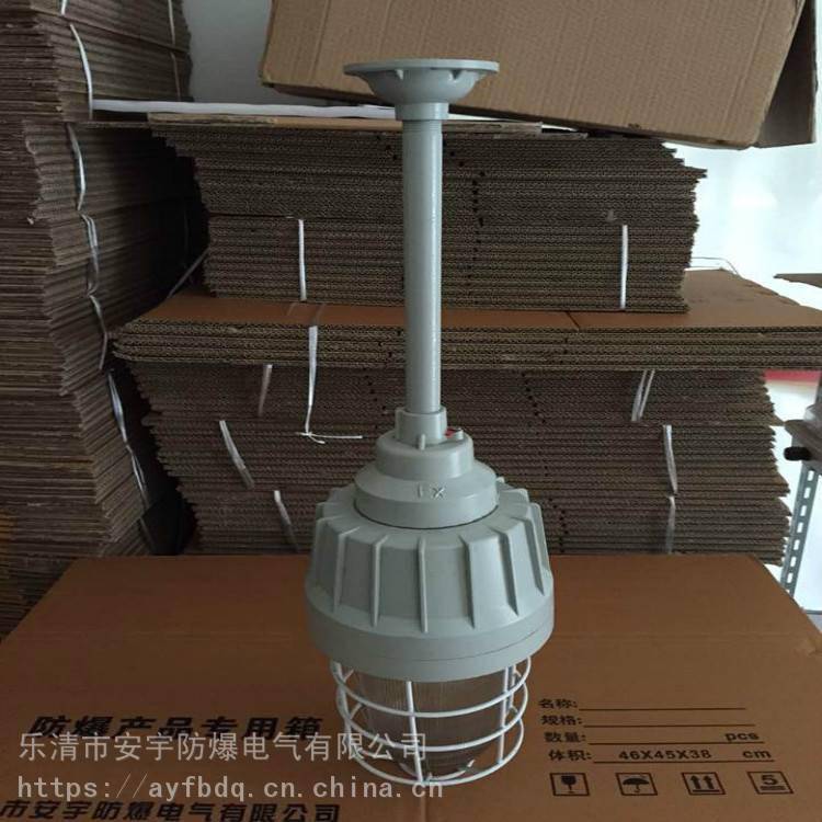 防爆工廠燈配無極燈光源HRD83-135gH220V1x135W