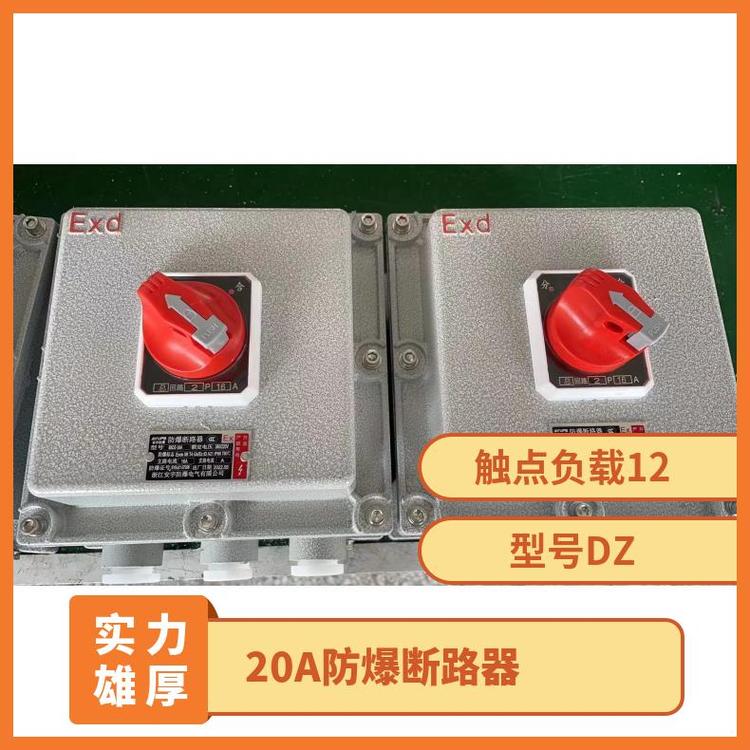 型號(hào)DZ額定電流380防護(hù)特征IP65非標(biāo)定做20A防爆斷路器3KW電