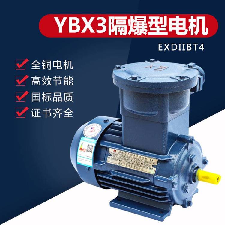 BT4防爆電機(jī)YB2\/YB3-100L-43KW隔爆型三相異步電動機(jī)