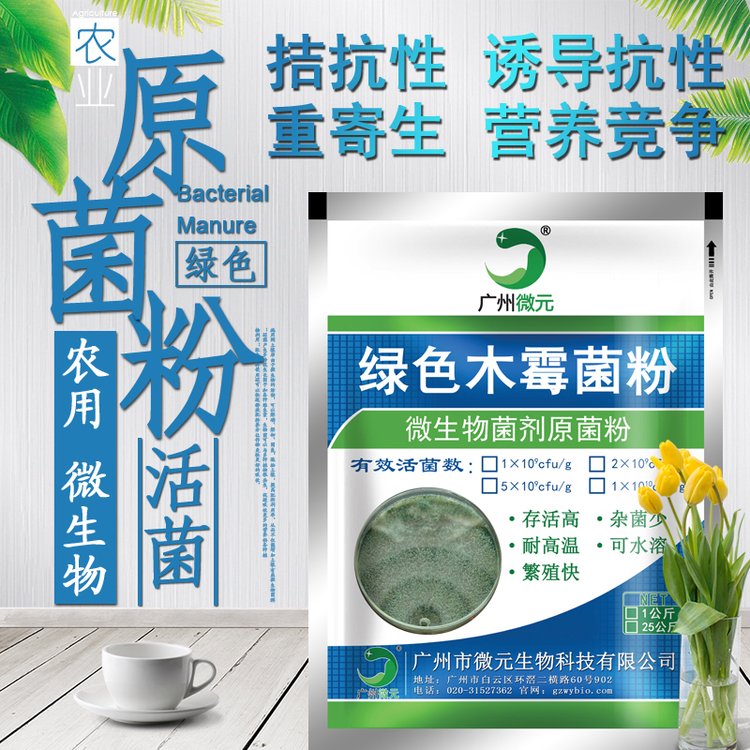 綠色木霉菌農(nóng)用微生物菌劑微元生物供應微生物防治真菌性土傳病害