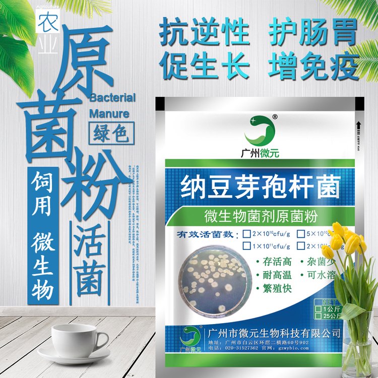 納豆芽孢桿菌混合型微生物飼料添加劑促進(jìn)腸道有益厭氧菌生長(zhǎng)