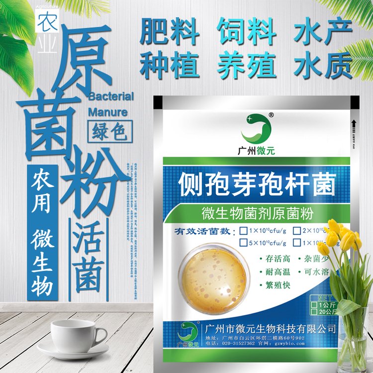 側(cè)孢芽孢桿菌農(nóng)用微生物菌劑側(cè)孢芽孢桿菌飼用水質(zhì)凈化種植肥料用