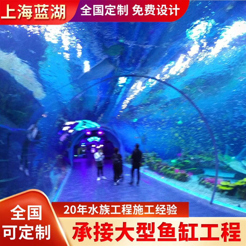 水族運(yùn)營海洋館魚缸設(shè)計(jì)建造造景施工大型水族景觀工程