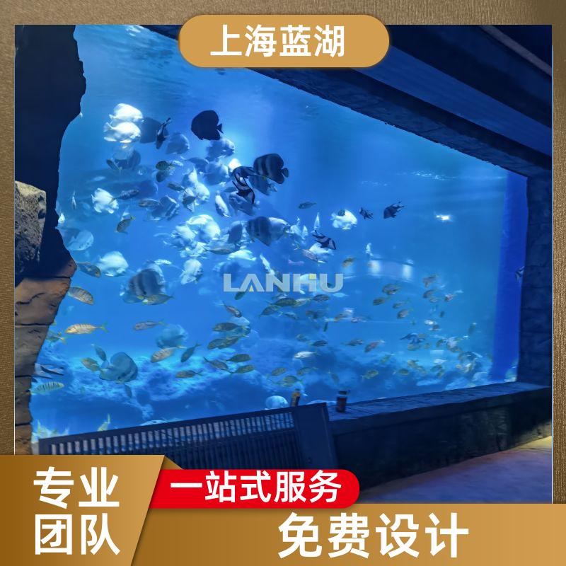 藍(lán)湖海洋館規(guī)劃水族工程公司外形美觀高透光率專業(yè)團(tuán)隊(duì)