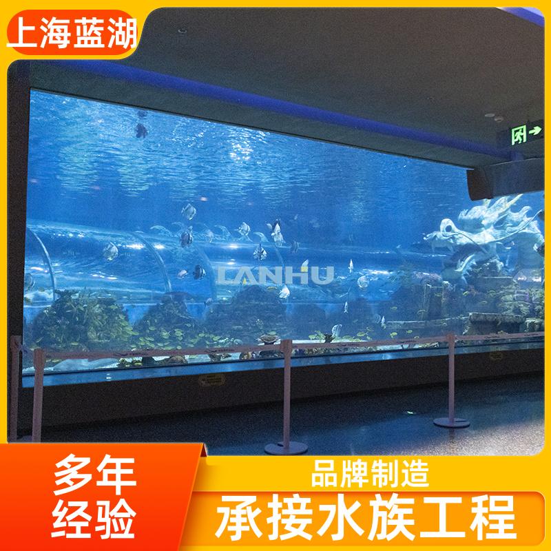 觀賞隧道安裝水族館工程支持上門勘測規(guī)格齊全藍湖