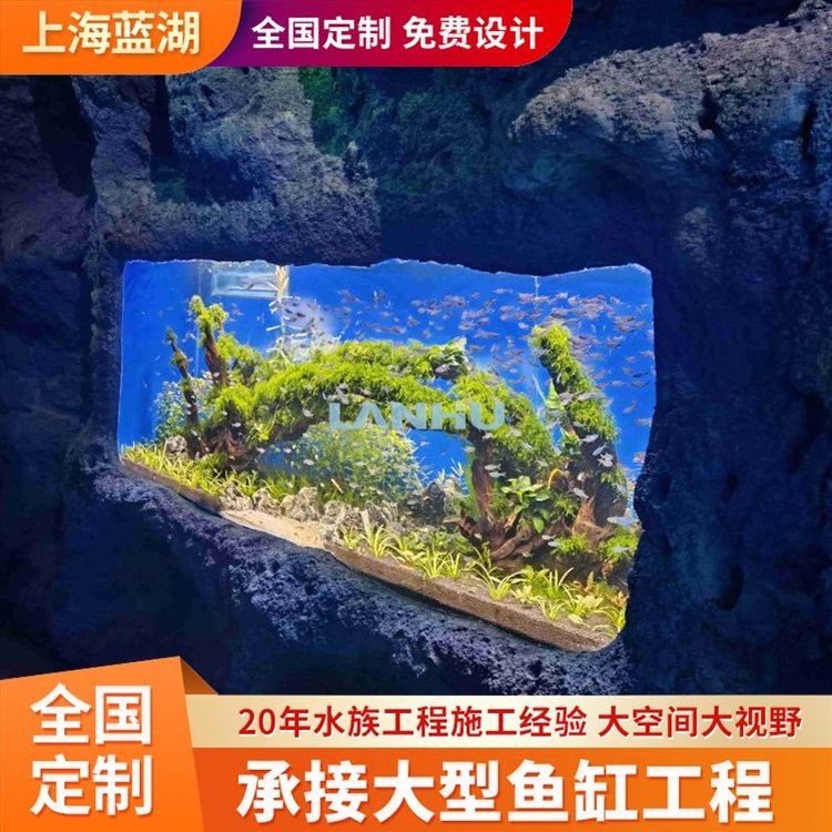 藍(lán)湖水族工程施工專業(yè)水族館勘測設(shè)計(jì)修建造景維生系統(tǒng)建設(shè)