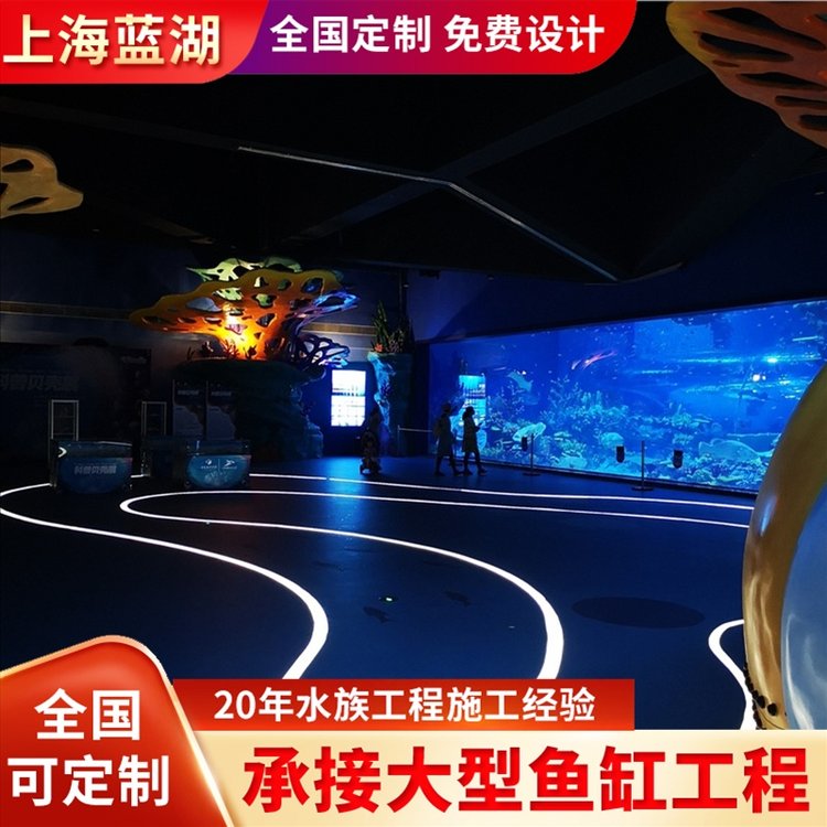 藍(lán)湖水族工程施工專(zhuān)業(yè)水族館勘測(cè)設(shè)計(jì)修建造景維生系統(tǒng)建設(shè)