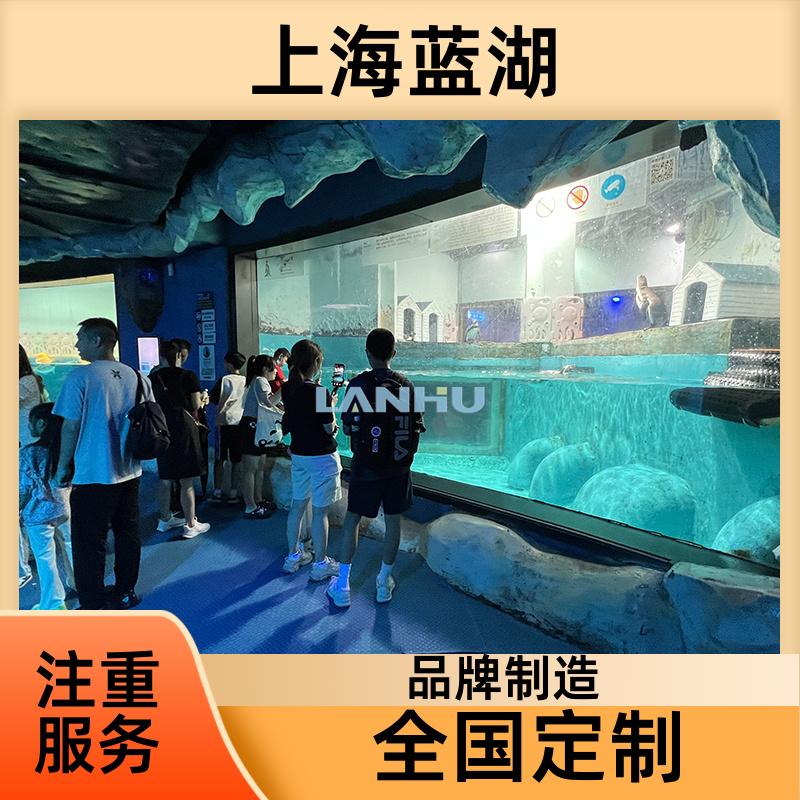 藍湖承接水族館建造別墅嵌入式魚缸專業(yè)生產(chǎn)廠家造景工程定做