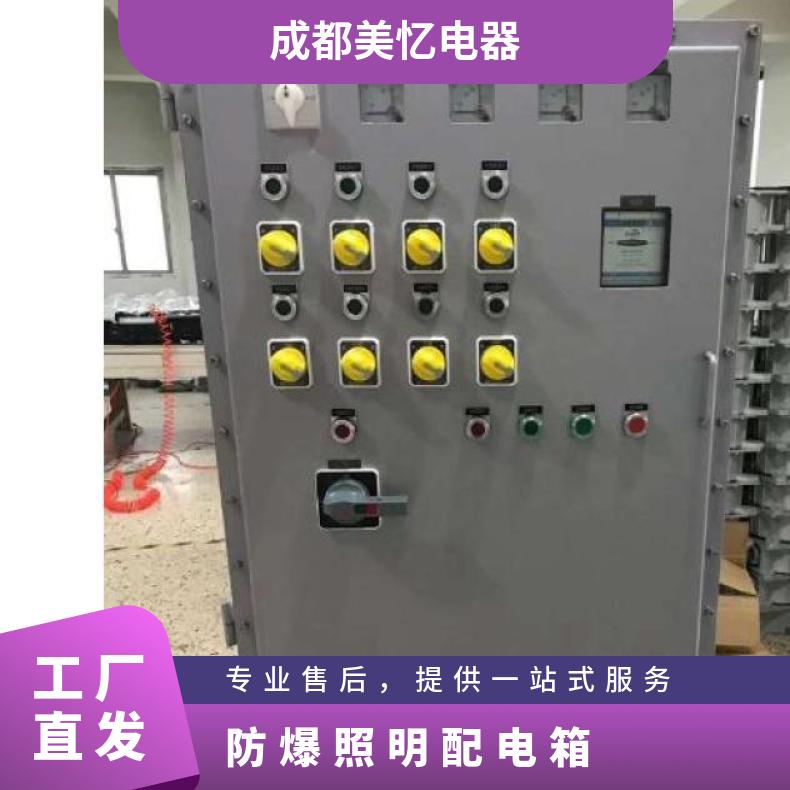 非標(biāo)定制\/圖紙定做壁掛工程塑料防護(hù)等級IP65防爆配電箱