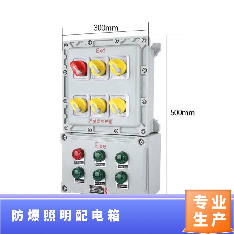 防爆油田箱總代電磁起動(dòng)造型觀RA7035WF1IP65美憶電器
