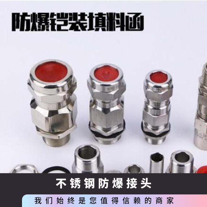 不銹鋼接頭螺紋防爆標(biāo)志ExdIICGb\/ExelGExtDA2IP