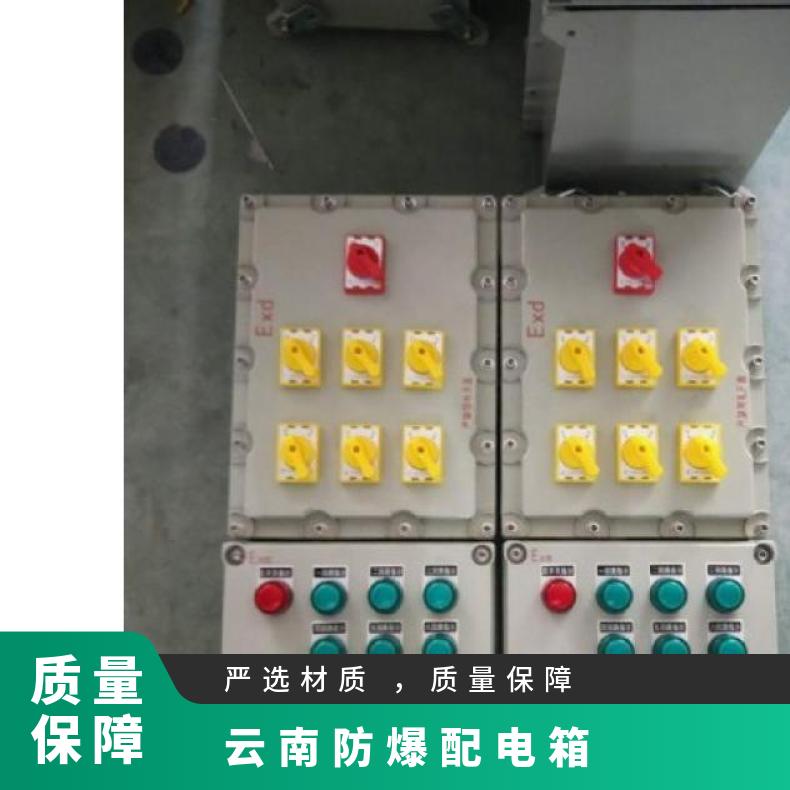 防爆配電箱防腐等級WF1外形尺寸800*1000200產(chǎn)品認(rèn)證CCC