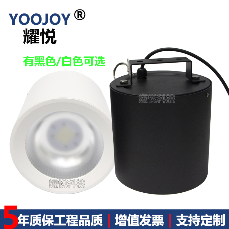 40W50W70W100W展廳筒燈風雨棚射燈IP65防水吸頂安裝絲桿吊裝