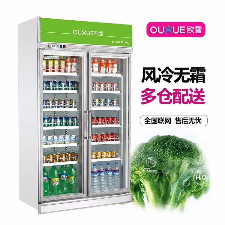 歐雪品牌飲料展示柜節(jié)能省電超市食品冷柜可定制送貨上門