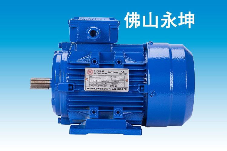 電機(jī)廠生產(chǎn)雙電容單相電機(jī)YL7112-0.25KW2800轉(zhuǎn)安裝B3B5B35