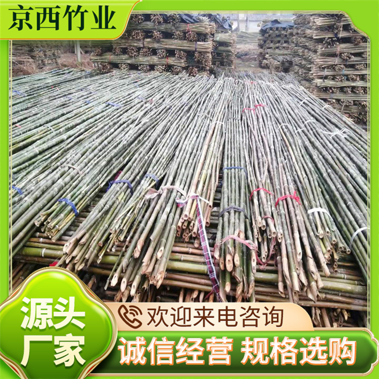 出口竹竿果樹蔬菜苗木撐竿美觀綠化農(nóng)用搭建京西竹業(yè)