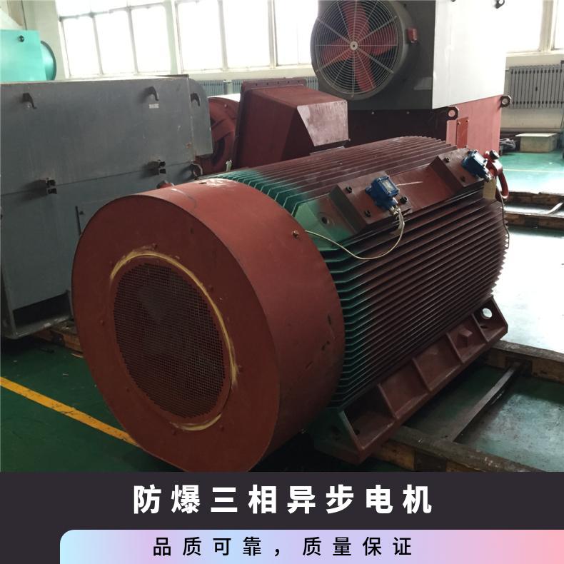 鴻泰防爆三相異步電機(jī)YBX2-5003-41000KW1485rpm電壓10KV\/6KV