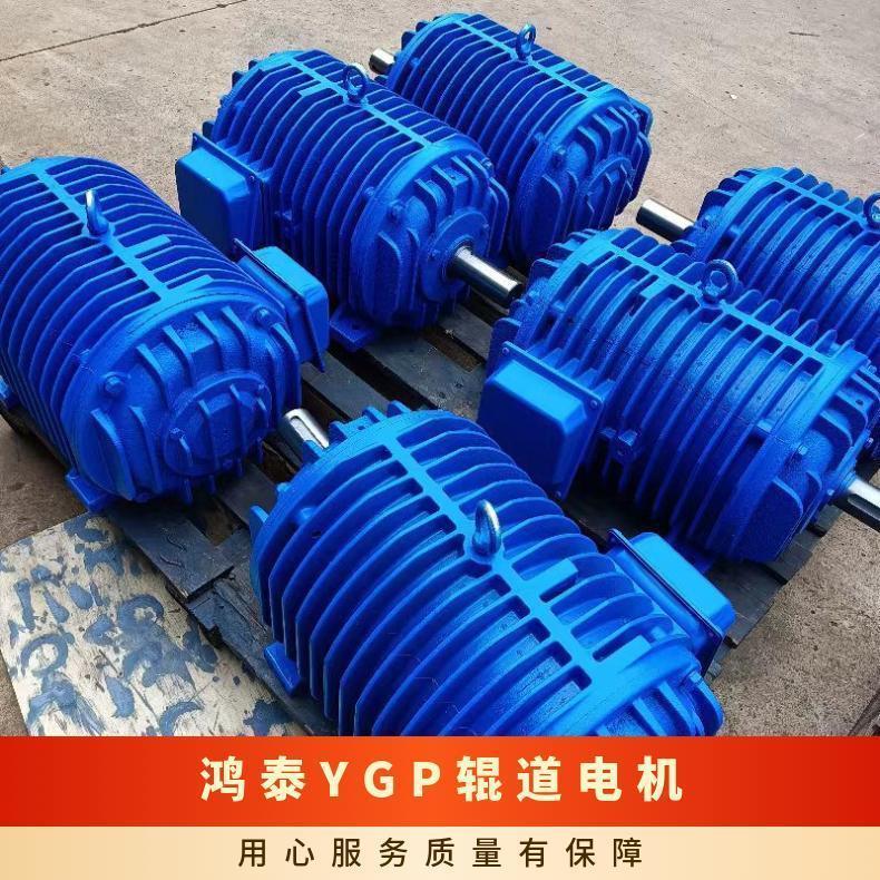 鴻泰YGP輥道變頻電機(jī)280L2-8380V37KW額定頻率50HZ性能好生產(chǎn)廠家