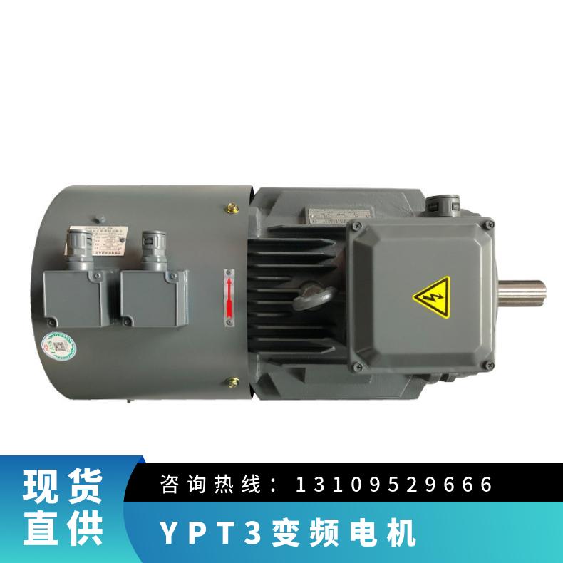 鴻泰YPT3變頻電機(jī)YPT3-180L-811KW三級(jí)能效標(biāo)準(zhǔn)帶定子測(cè)溫裝置