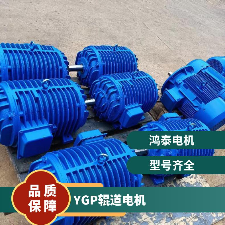 鴻泰YGP輥道變頻電機(jī)YGP225M-622KW可頻繁制動(dòng)性能好源頭廠家