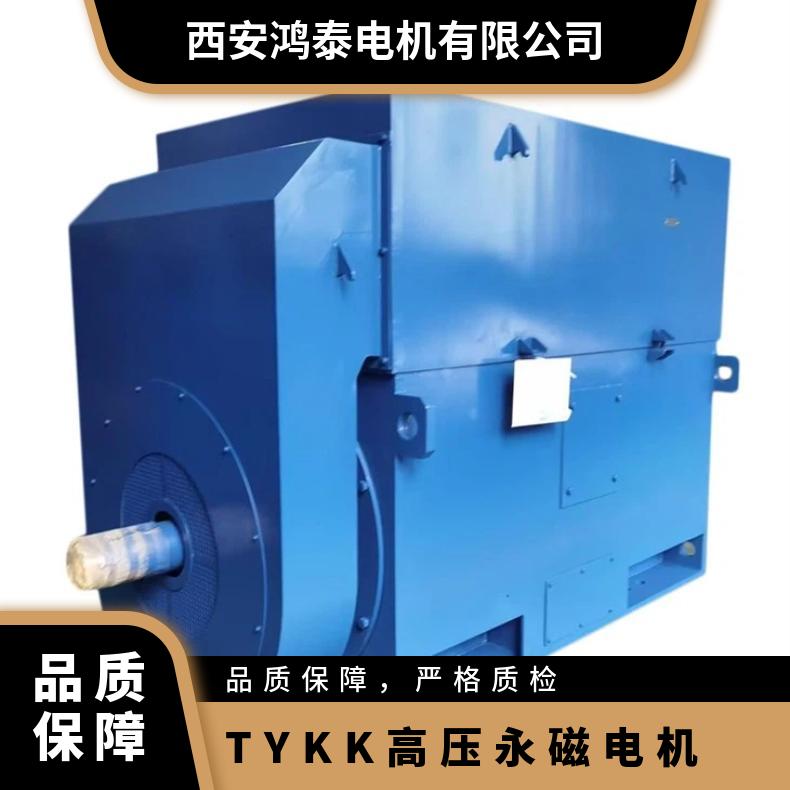 鴻泰TYKK高壓永磁電機TYKK1000-105000KW溫升低冷卻方式IC616