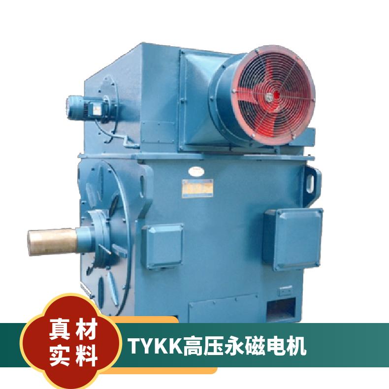 西瑪TYKK永磁高壓電機(jī)TYKK500-12355千瓦12極低噪音絕緣等級(jí)F級(jí)