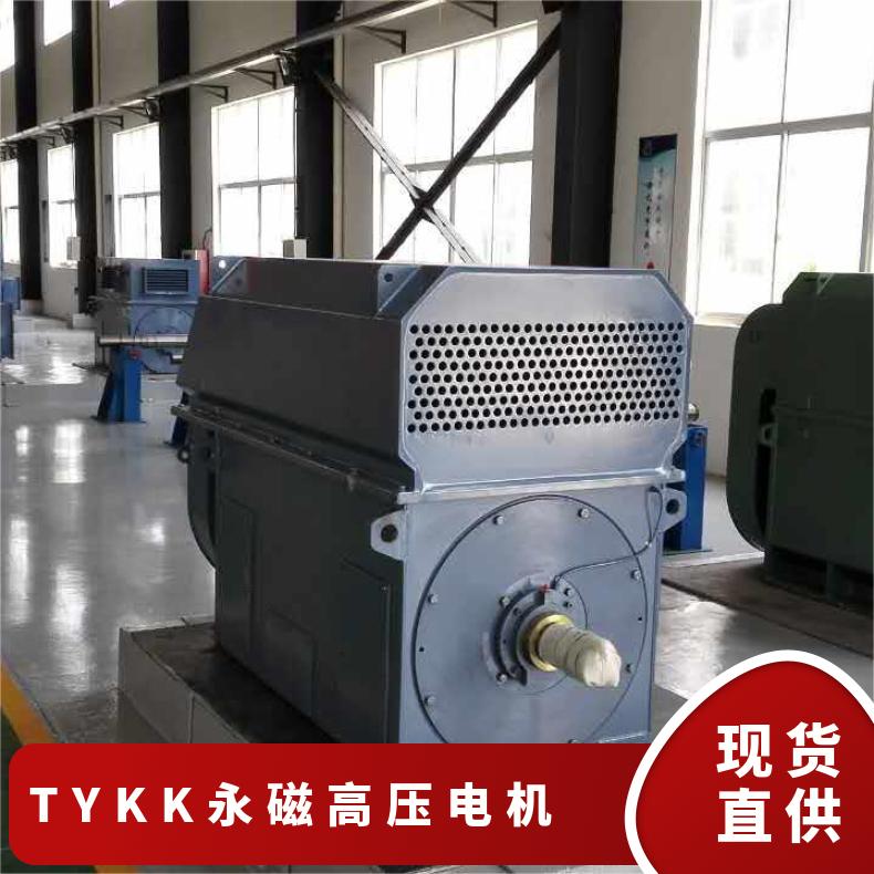 鴻泰永磁高壓電機TYKK800-4-5600千瓦4極噪音小振動低節(jié)能環(huán)保