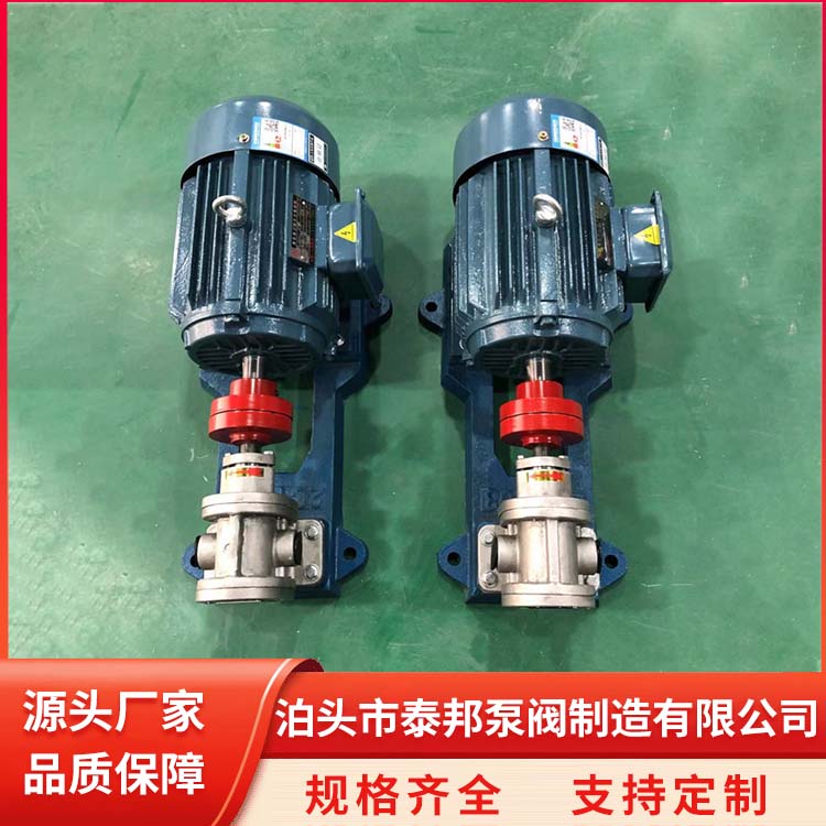 316L齒輪泵不銹鋼油泵2CY-3\/2.5壓氣噴射工業(yè)泵總廠