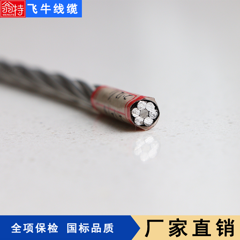 飛牛線纜鋼芯鋁絞線JL\/G1A-25\/4裸導(dǎo)線現(xiàn)貨工廠銷售抗拉強(qiáng)度高