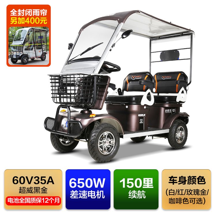 雙人代步車(chē)小巴士E50650W35AH鉛酸電池有車(chē)棚可行駛150里接送小孩