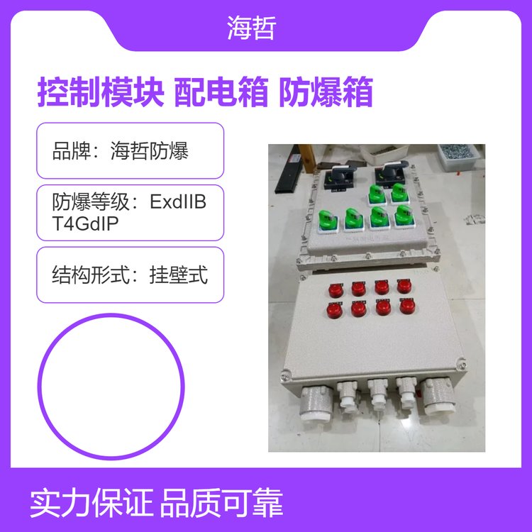 智能照明防爆箱控制模塊箱BXM51-5K防爆配電箱IIBT4防爆電箱