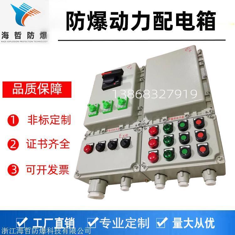 防爆配電裝置ExdeIIBT4Gb防爆照明動力配電箱ExtDA21粉塵防爆箱