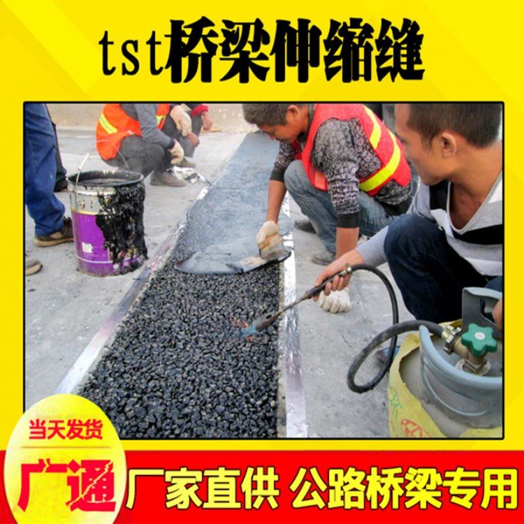 公路TST伸縮縫畢節(jié)衡廣通TST改性無(wú)縫伸縮縫批發(fā)價(jià)格