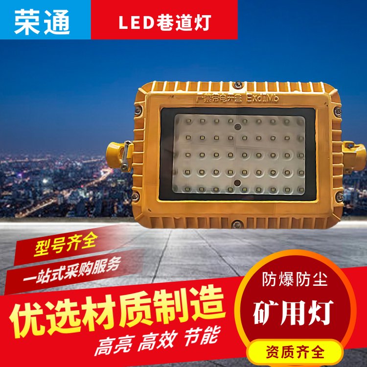 LED防爆燈具路燈防水接線盒DLB1-127(36)G聲光組合電鈴