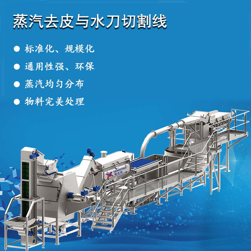 蒸汽去皮機加工黃桃罐頭土豆高溫爆皮流水線設備鑫正達