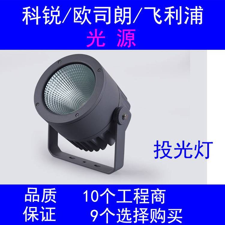 市政橋梁亮化大功率30w50w投光燈景觀(guān)燈具廠(chǎng)私模定制