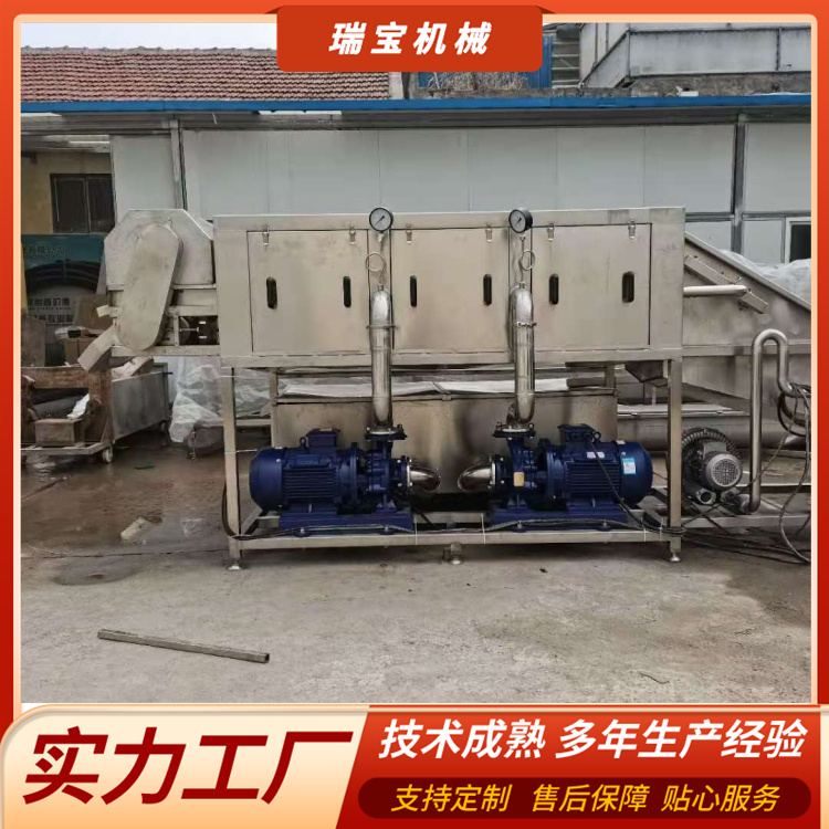 瑞寶高壓噴淋式大型果蔬加工廠用大姜小黃姜清洗機(jī)RB-5000型