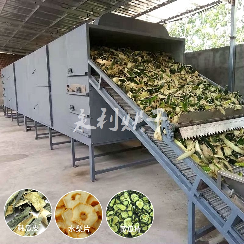 定制冬瓜皮無花果烘干機(jī)多層帶式藥材干燥設(shè)備果蔬烘干設(shè)備加工