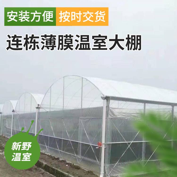 薄膜智能連棟溫室養(yǎng)殖大棚成本低新野工程承建