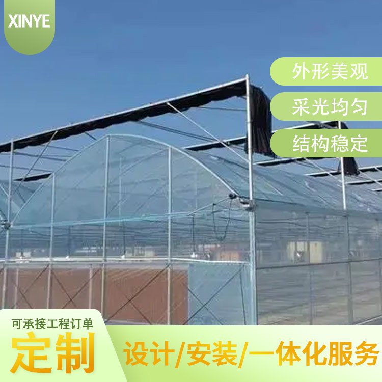 承建連棟薄膜溫室蔬菜大棚農(nóng)業(yè)種植按需定制