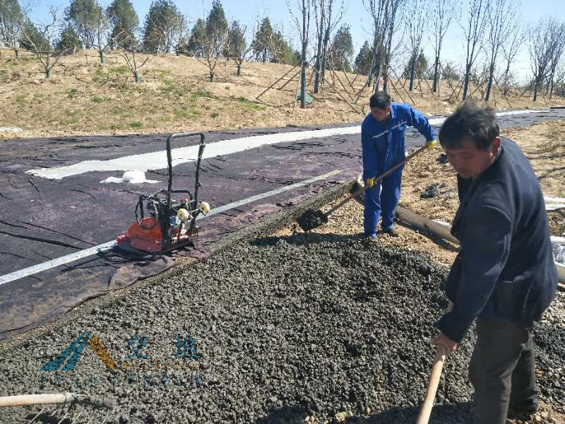 露骨料透水混凝土增強劑膠結料健康步道海綿城市建設材料