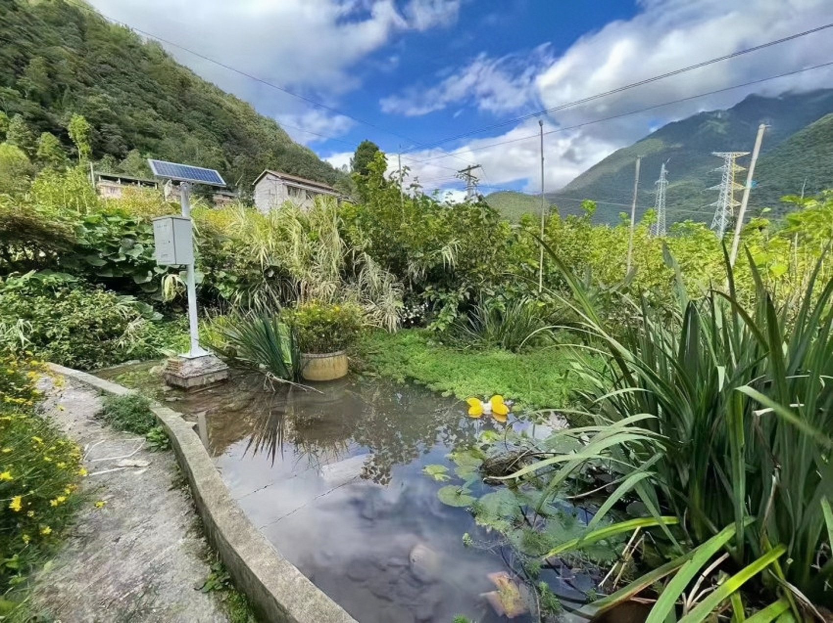 河道水庫水質(zhì)自動遠程水文在線監(jiān)測系統(tǒng)岸邊式水質(zhì)監(jiān)測站