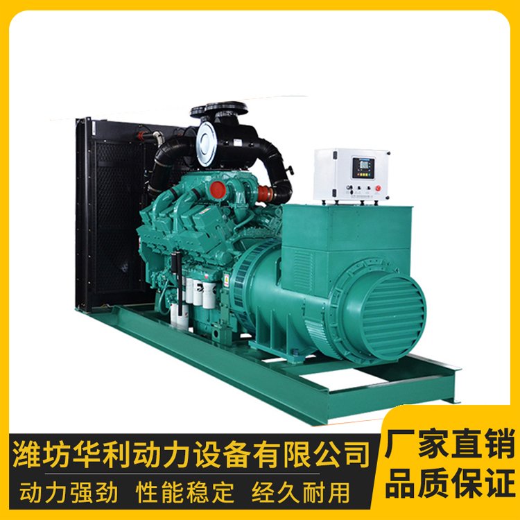 發(fā)電機農(nóng)用發(fā)電250kw發(fā)電機組華利動力適用多種環(huán)境