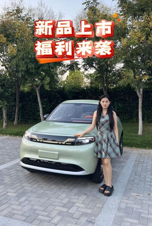 簡單好學(xué)的四輪車帶空調(diào)不用駕照的封閉車女性電瓶車