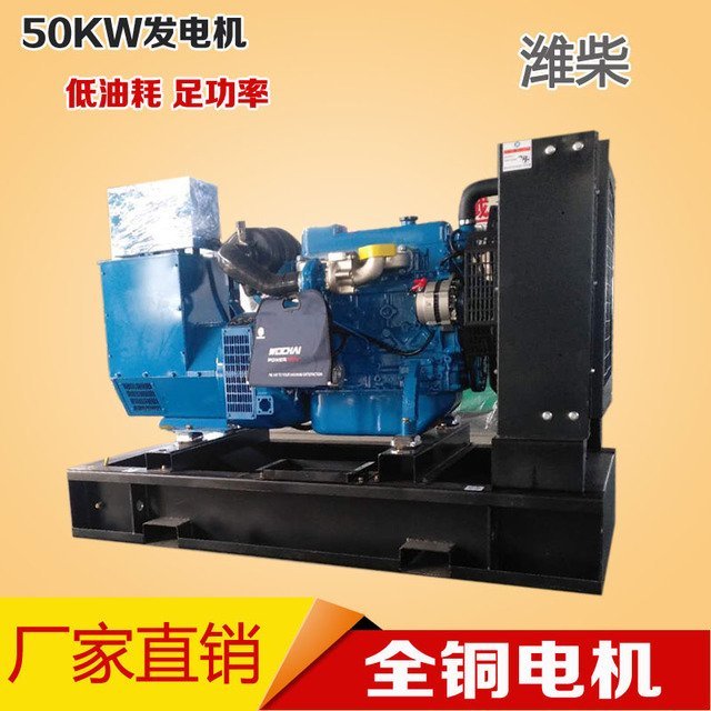 藥廠電站應急用50kw柴油發(fā)電機組濰柴50千瓦三相全銅發(fā)電機工廠養(yǎng)殖專用