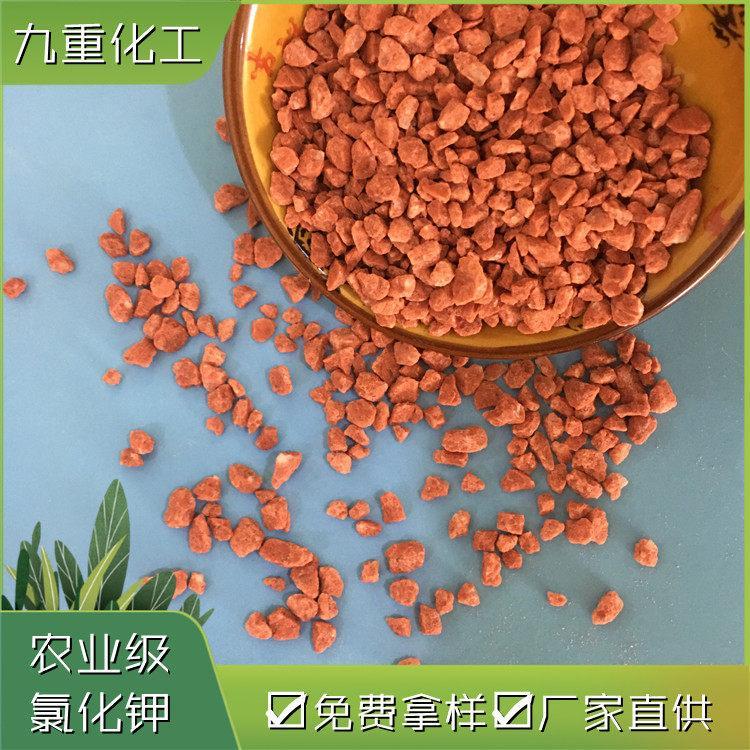 農(nóng)業(yè)級氯化鉀60含量紅色顆粒狀九重化工cas7447-40-7