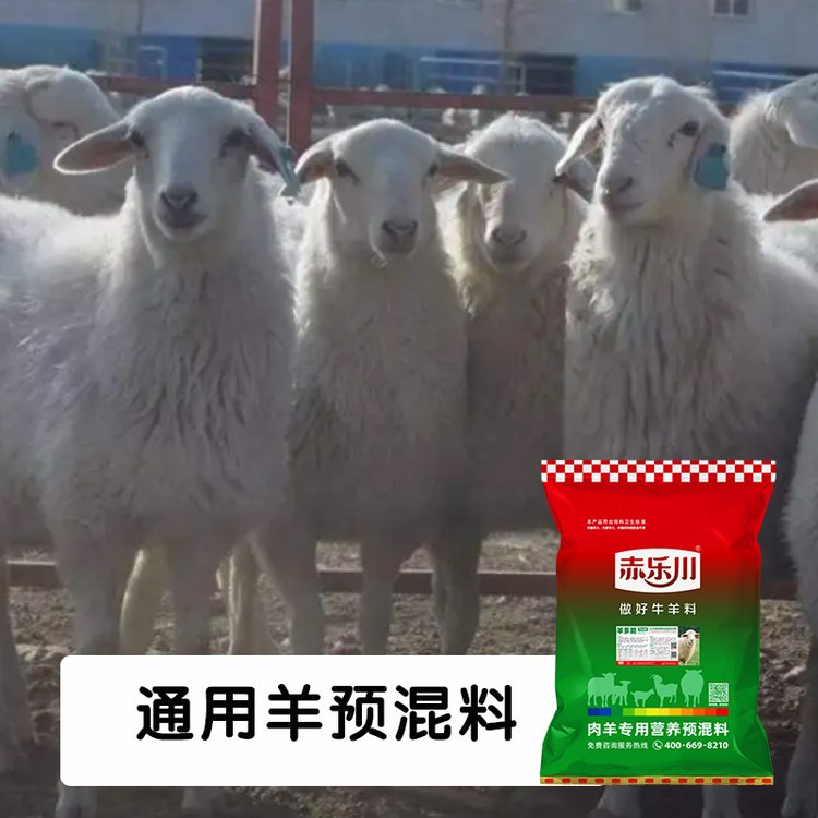 育肥羊飼料批發(fā)小尾寒羊杜泊羊獸用微量元素通用料